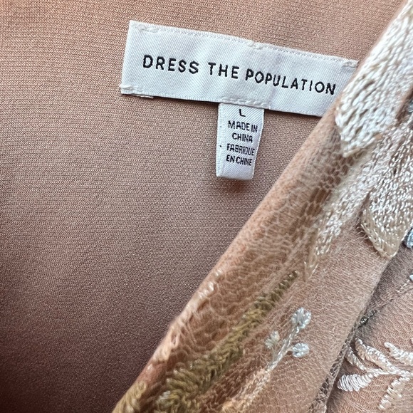 Dress the Population Blush Floral Embroidered Tulle Long Dress - Picture 2 of 16